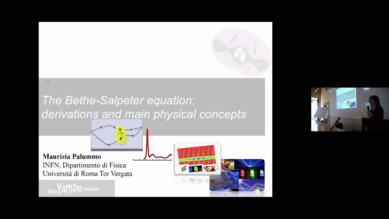 Thumbnail of The Bethe-Salpeter equation: derivations and main physical concepts